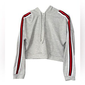 CHAR. RUSSE LONG SLEEVE HOODIE. SIZE SMALL. GRAY W/ RED, WHITE, & BLUE STRIPES.